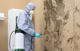 Best Air Quality Testing for Mold Spores  in Laurel, DE